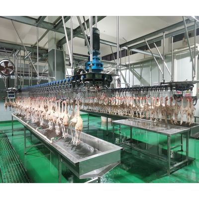 Mesin Plucker Unggas tahan lama Untuk Peralatan Defeathering Ayam Bebek Angsa Burung