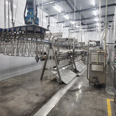 Mesin pengolahan pembantaian baja tahan karat 500bph 10000bph Peralatan pembantaian ayam