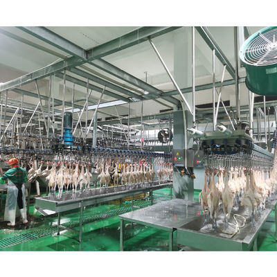 Mesin Pemotong Otomatis Pabrik Pengolahan Daging Ayam