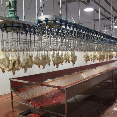 500BPH - 1000BPH Mesin Pembantaian Otomatis Peralatan Pembantaian Ayam Unggas