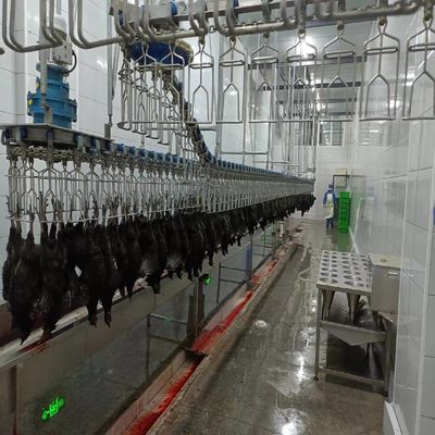 Mesin Pembantaian Semi Otomatis Rasional Peralatan Pengolahan Unggas Berskala Kecil