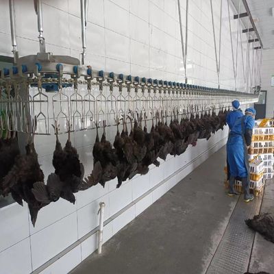 Mesin pemanas ayam otomatis pemanas listrik untuk garis pembantaian