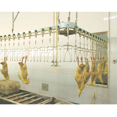 Perlengkapan Pembantaian Unggas Halal Otomatis yang Disesuaikan untuk Proses Pembuangan Ayam