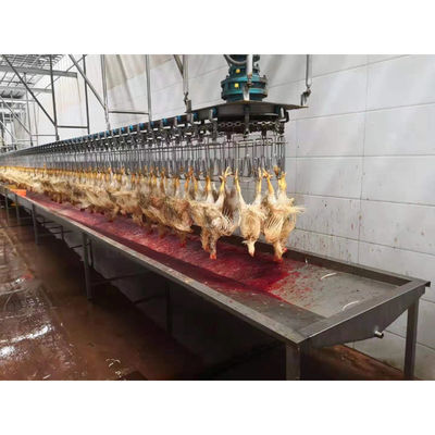 Jalur pembantaian ayam halal/peralatan untuk pengolahan lainnya dan kinerja yang dijamin