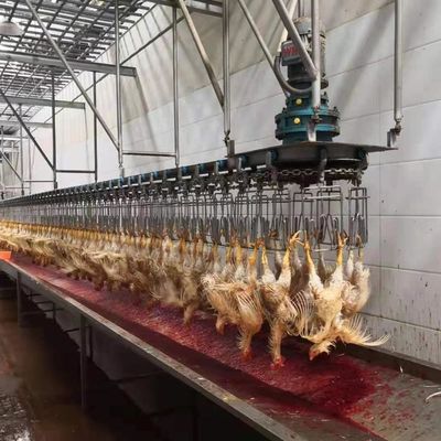Otomatis Mesin Scalder unggas stainless steel 304 Peralatan Pengolahan Unggas