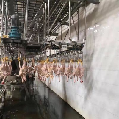 Baja tahan karat 304 Turki mesin pembantaian unggas mesin pabrik pembantaian