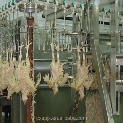 Mesin pengolahan unggas tegangan 380V/220V untuk pemotongan ayam dan pembantaian halal