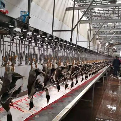 Peralatan Pembantaian Unggas Sertifikat CE Lini Pembantaian Unggas Ikan 600KG