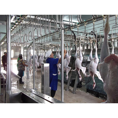 Lini Pengangkutan Perontokan Ayam 200BPH - 10000BPH Kapasitas untuk Peternakan