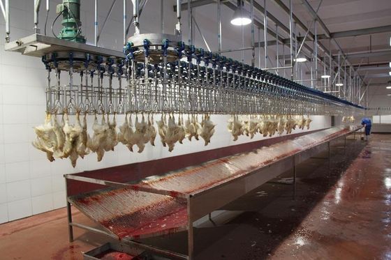 Broiler Lapisan Mesin Pembantaian Otomatis Peternakan Baja tahan karat Pembantaian ayam