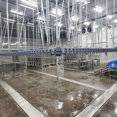 Mesin Pembantaian Kalkun Baja Berkualitas Untuk Pengolahan yang Aman dan Hygienic