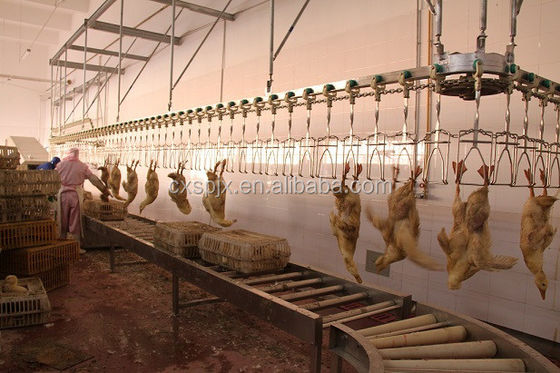 Peralatan Pengolahan Unggas Otomatis Dengan Kehidupan Panjang dan Kinerja Superior