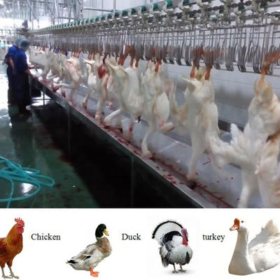 Halal Lengkap Fungsi Penutup Mesin Pengorbanan Ayam Unggas