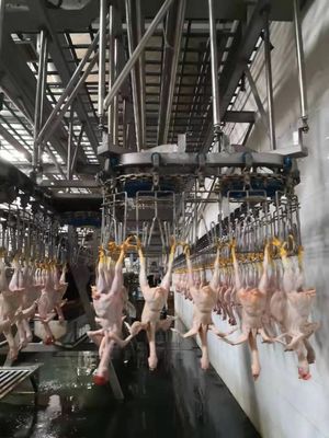 Mesin pembantaian ayam tahan lama Mesin pembantaian otomatis TUV Disetujui