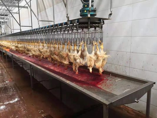 1000 Ayam Per Jam Bph Pabrik Pembantaian Lini Pemrosesan Unggas Mini Lengkap