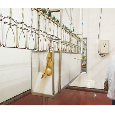 mesin pembantaian angsa 200BPH - 12000BPH solusi pengolahan unggas