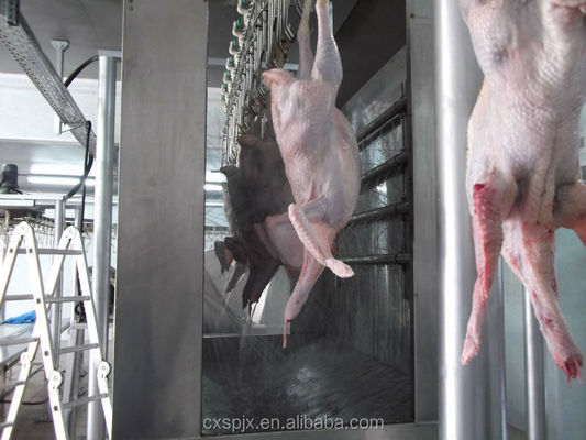 Mesin Pembantaian Itik yang Disetujui CE untuk Jalur Pengolahan Tukang Daging Unggas