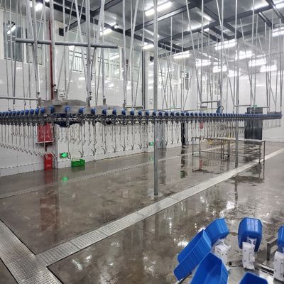 500PCS Otomatis Alat-alat Slaughterhouse Unggas Baja tahan karat Chicken Farming Line