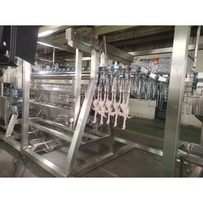 200BPH 300BPH 500BPH Otomatis Membunuh Pemotongan Angsa Bebek Ayam Slaughterhouse Pembantaian Proses Line Mesin Sistem