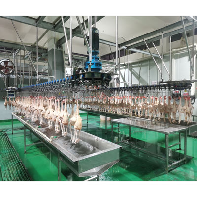 Toko Makanan Mesin Pembantaian Ayam Ayam Halal Otomatis untuk Pengolahan Ayam