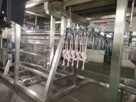 2000bph China Otomatis Pabrik Pengolahan Ayam Kondisi Baru Peralatan Pembantaian Terbuat dari Baja Peternakan Unggas Pembantaian Line