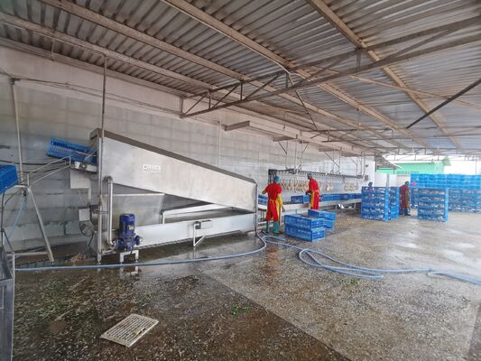 Otomatis stainless steel pembersih kandang ayam mesin cuci kandang ayam kotak mesin cuci kandang ayam Motor Motor bantalan