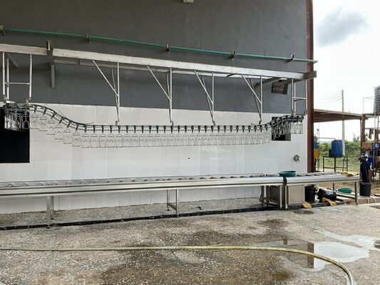 Lini Pemrosesan Unggas Turnkey Efisiensi Tinggi Bersertifikasi Halal untuk 1000 Ekor Burung Per Jam